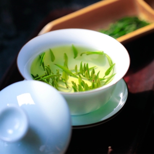 茶艺知识——绿茶的冲泡技巧